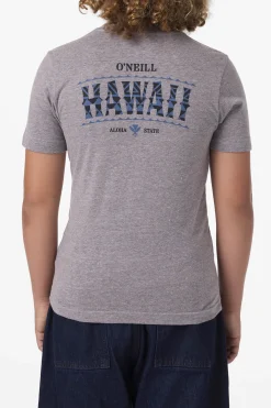 Tops^O'Neill Boy's Hawaii Arch Tee - | heather grey