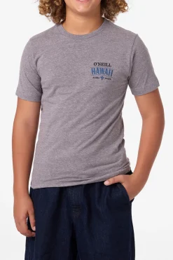 Tops^O'Neill Boy's Hawaii Arch Tee - | heather grey