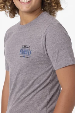 Tops^O'Neill Boy's Hawaii Arch Tee - | heather grey