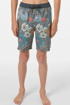 Boardshorts^O'Neill Boy's Hermosa Elastic Waist Lined 16" Swim Trunks Trunks - | mulled basil