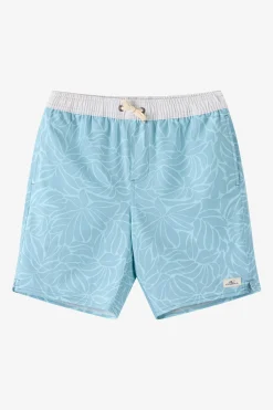 Boardshorts^O'Neill Boy's Hermosa Elastic Waist Lined 16" Swim Trunks Trunks - | stone blue