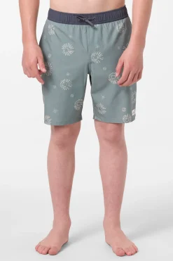 Boardshorts^O'Neill Boy's Hermosa Elastic Waist Lined 16" Swim Trunks Trunks - | sage2