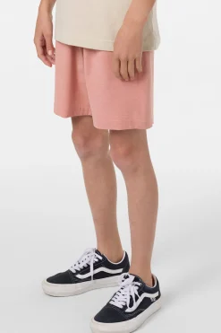 Bottoms^O'Neill Boy's Reserve Light Check Elastic Waist 16
