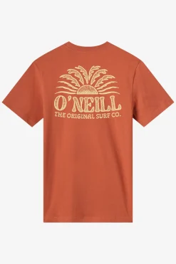 Tees & Tanks^O'Neill Burst Classic Tee Standard Fit Tee - | chutney