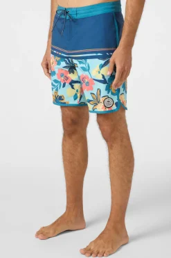Short Length^O'Neill Cruzer Scallop 18