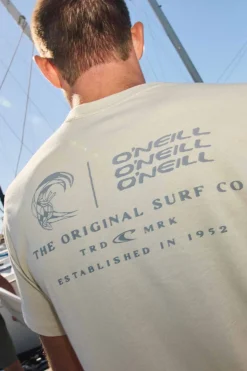 Tees & Tanks^O'Neill Offset Classic Tee Standard Fit Tee - | lt khaki