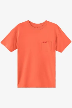 Tees & Tanks^O'Neill O'Riginals Pocket Relaxed Fit Tee - | burnt sienna