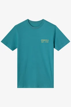New Arrivals|Tees & Tanks^O'Neill Relax Classic Tee Standard Fit Tee - | hydro
